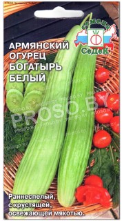 Армянский огурец Богатырь белый