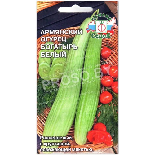 Армянский огурец Богатырь белый