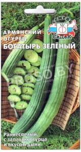 Армянский огурец Богатырь зеленый