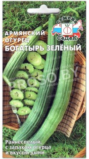 Армянский огурец Богатырь зеленый