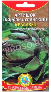 Артишок Красавец