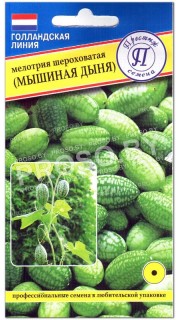 Мелотрия шероховатая (мышиная дыня)