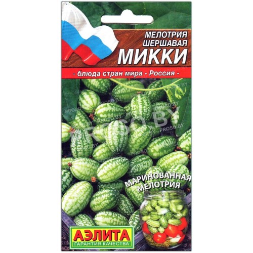 Мелотрия шершавая Микки