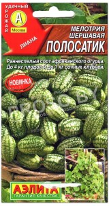Мелотрия шершавая Полосатик