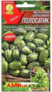 Мелотрия шершавая Полосатик
