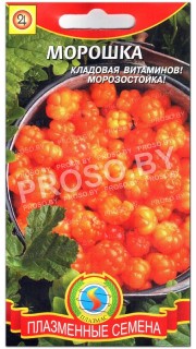 Морошка