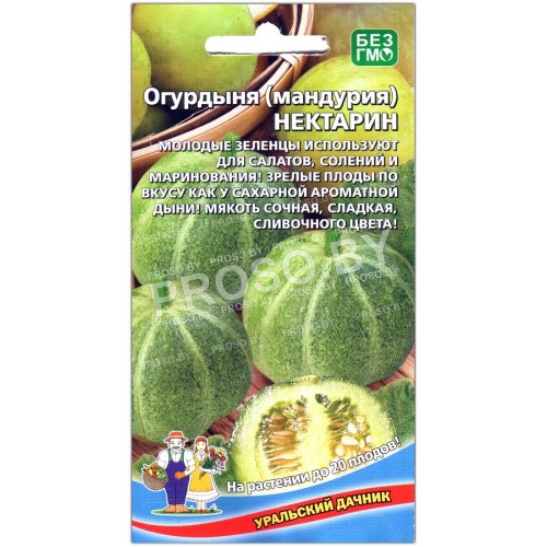 Огурдыня (мандурия) Нектарин