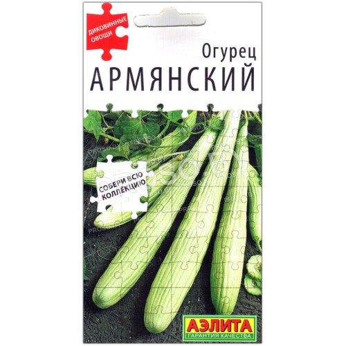 Огурец Армянский