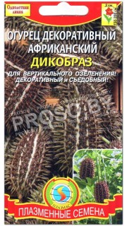 Огурец декоративный африканский Дикобраз