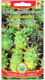 Огурец декоративный Суданский