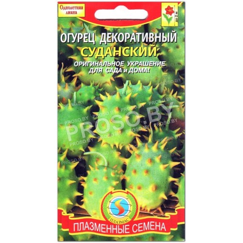 Огурец декоративный Суданский