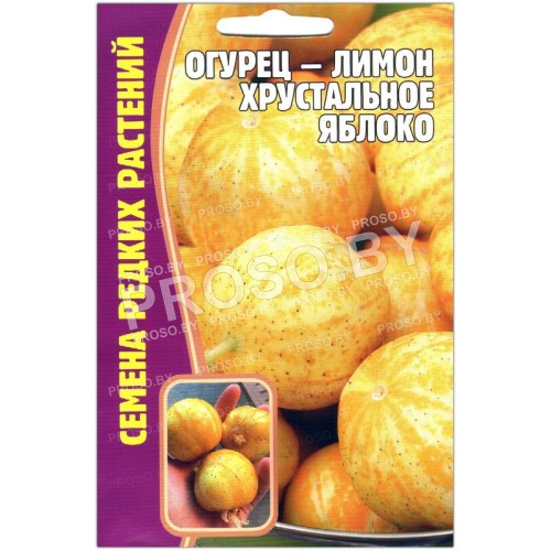 Огурец-лимон Хрустальное яблоко