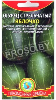 Огурец стрельчатый Яблочко