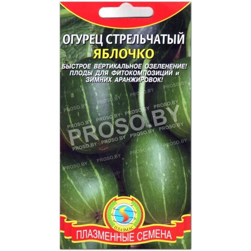 Огурец стрельчатый Яблочко