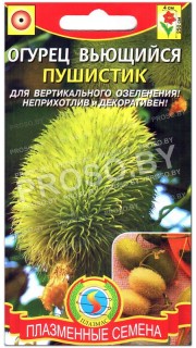 Огурец вьющийся Пушистик