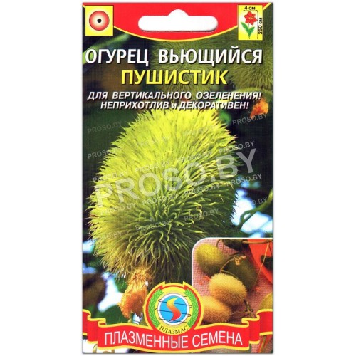 Огурец вьющийся Пушистик