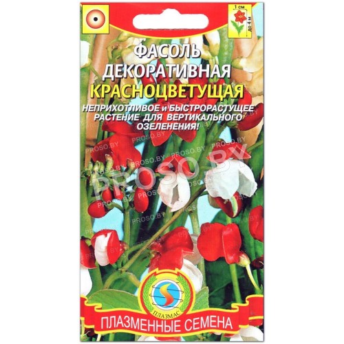 Фасоль декоративная Красноцветущая