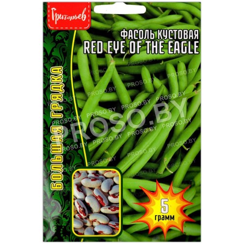 Фасоль кустовая Red eye of the eagle