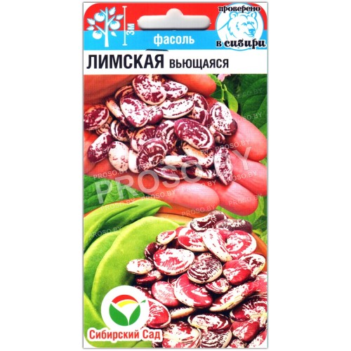 Фасоль Лимская вьющаяся