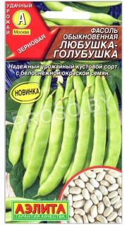 Фасоль Любушка-голубушка