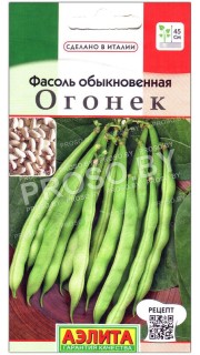 Фасоль обыкновенная Огонек