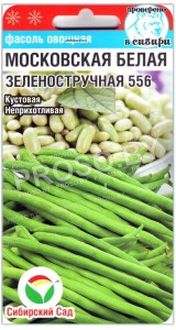 Фасоль Московская белая зеленостручная 556