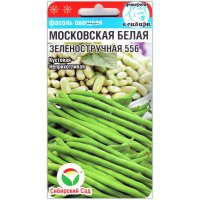 Фасоль Московская белая зеленостручная 556