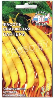 Фасоль спаржевая Пантера