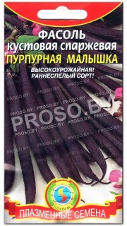 Фасоль Пурпурная малышка