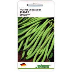 Фасоль спаржевая Ольга