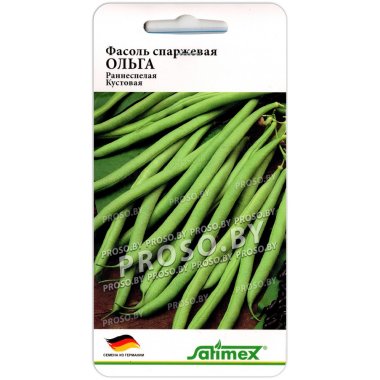Фасоль спаржевая Ольга