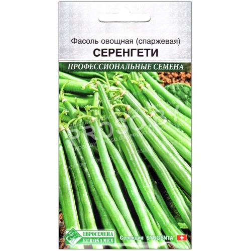 Фасоль спаржевая Серенгети-1