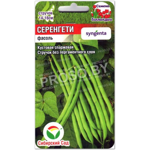 Фасоль спаржевая Серенгети-2