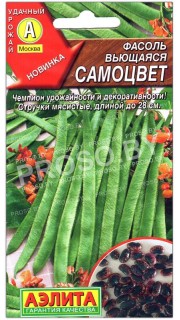 Фасоль вьющаяся Самоцвет