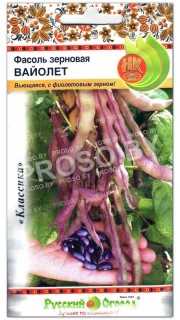 Фасоль зерновая Вайолет