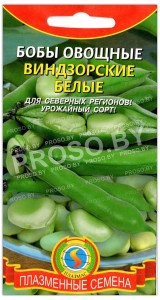 Бобы Виндзорские (белые)