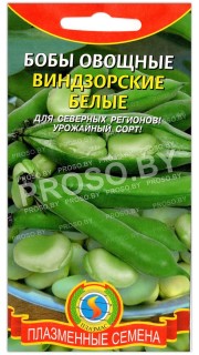 Бобы Виндзорские (белые)