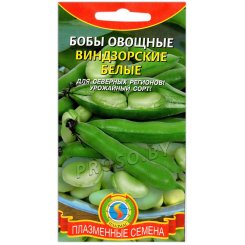 Бобы Виндзорские (белые)