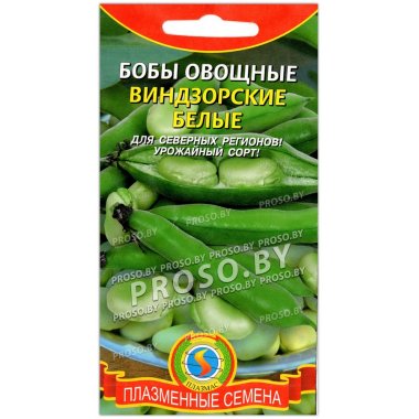 Бобы Виндзорские (белые)