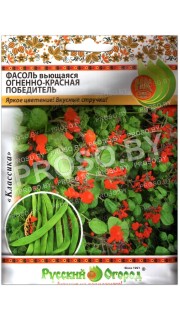 Фасоль Победитель