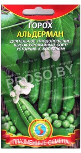 Горох Альдерман