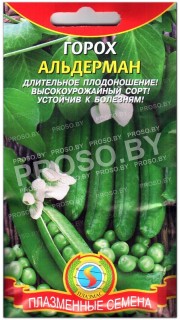 Горох Альдерман