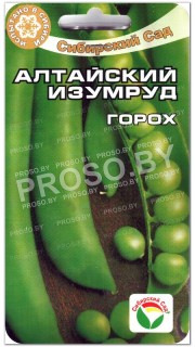 Горох Алтайский изумруд