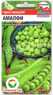Горох Амалфи