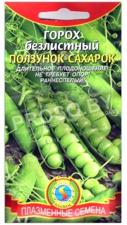 Горох безлистный Ползунок-сахарок