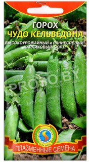 Горох Чудо кельведона