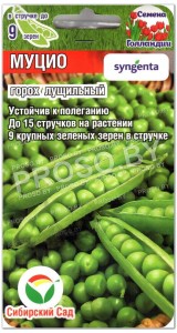 Горох Муцио