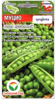 Горох Муцио