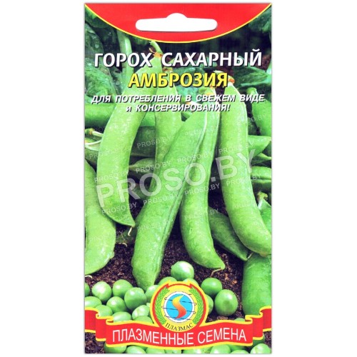 Горох сахарный Амброзия-1