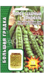 Горох сахарный Бондюэль